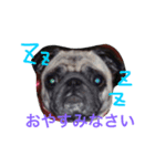 CHACHA！！！！！（個別スタンプ：4）