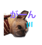 CHACHA！！！！！（個別スタンプ：5）