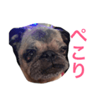 CHACHA！！！！！（個別スタンプ：6）