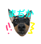 MOCA's LIFE（個別スタンプ：4）