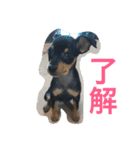 MOCA's LIFE（個別スタンプ：9）
