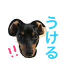 MOCA's LIFE（個別スタンプ：11）