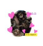 ○イさん達(rema家の猫さま)（個別スタンプ：2）