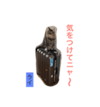 ○イさん達(rema家の猫さま)（個別スタンプ：10）
