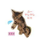 ○イさん達(rema家の猫さま)（個別スタンプ：15）