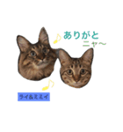 ○イさん達(rema家の猫さま)（個別スタンプ：21）