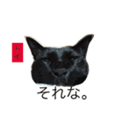 ○イさん達(rema家の猫さま)（個別スタンプ：23）