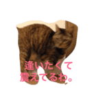 小山田商事の徒然日記（個別スタンプ：2）