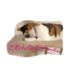 小山田商事の徒然日記（個別スタンプ：3）