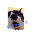 小山田商事の徒然日記（個別スタンプ：6）