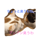 小山田商事の徒然日記（個別スタンプ：8）