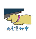 ミニチュアダックス・ノエルの日常 2（個別スタンプ：39）