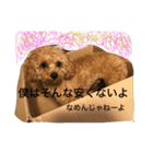 I am Barry.（個別スタンプ：2）
