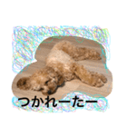 I am Barry.（個別スタンプ：4）