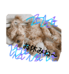 I am Barry.（個別スタンプ：5）