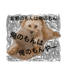 I am Barry.（個別スタンプ：6）