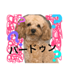 I am Barry.（個別スタンプ：7）