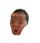 sora everyday（個別スタンプ：3）