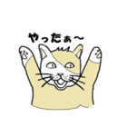 好き好きな私の猫（個別スタンプ：4）