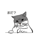 好き好きな私の猫（個別スタンプ：8）