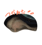 ハローハリースマイル（個別スタンプ：3）