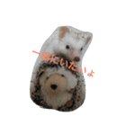 ハローハリースマイル（個別スタンプ：6）