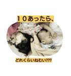 ryang stamp（個別スタンプ：32）