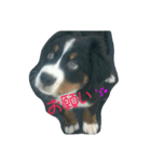 バディのつぶやき（個別スタンプ：8）