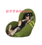 うちのみつwith友（個別スタンプ：1）