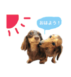 うちのみつwith友（個別スタンプ：2）