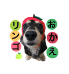 うちのみつwith友（個別スタンプ：3）
