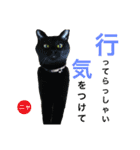 うちのみつwith友（個別スタンプ：4）