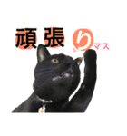 うちのみつwith友（個別スタンプ：5）