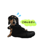 うちのみつwith友（個別スタンプ：8）