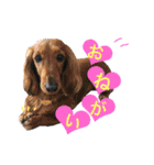 うちのみつwith友（個別スタンプ：13）