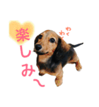 うちのみつwith友（個別スタンプ：14）