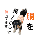 うちのみつwith友（個別スタンプ：15）