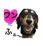 うちのみつwith友（個別スタンプ：17）