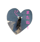 うちのみつwith友（個別スタンプ：21）