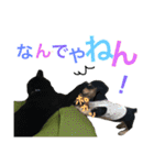うちのみつwith友（個別スタンプ：23）