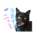 うちのみつwith友（個別スタンプ：25）