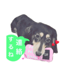 うちのみつwith友（個別スタンプ：28）