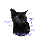 うちのみつwith友（個別スタンプ：29）