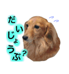 うちのみつwith友（個別スタンプ：32）