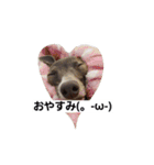 イタグレのRay（個別スタンプ：2）