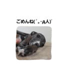イタグレのRay（個別スタンプ：3）