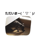 イタグレのRay（個別スタンプ：6）