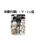 イタグレのRay（個別スタンプ：7）