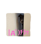 イタグレのRay（個別スタンプ：9）