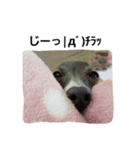 イタグレのRay（個別スタンプ：10）